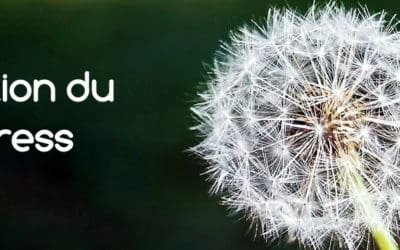 Atelier Sophrologie – Gestion du stress