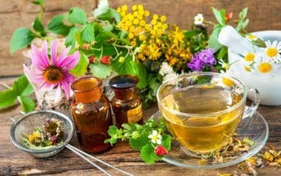 La Naturopathie pour qui et pour quoi ?