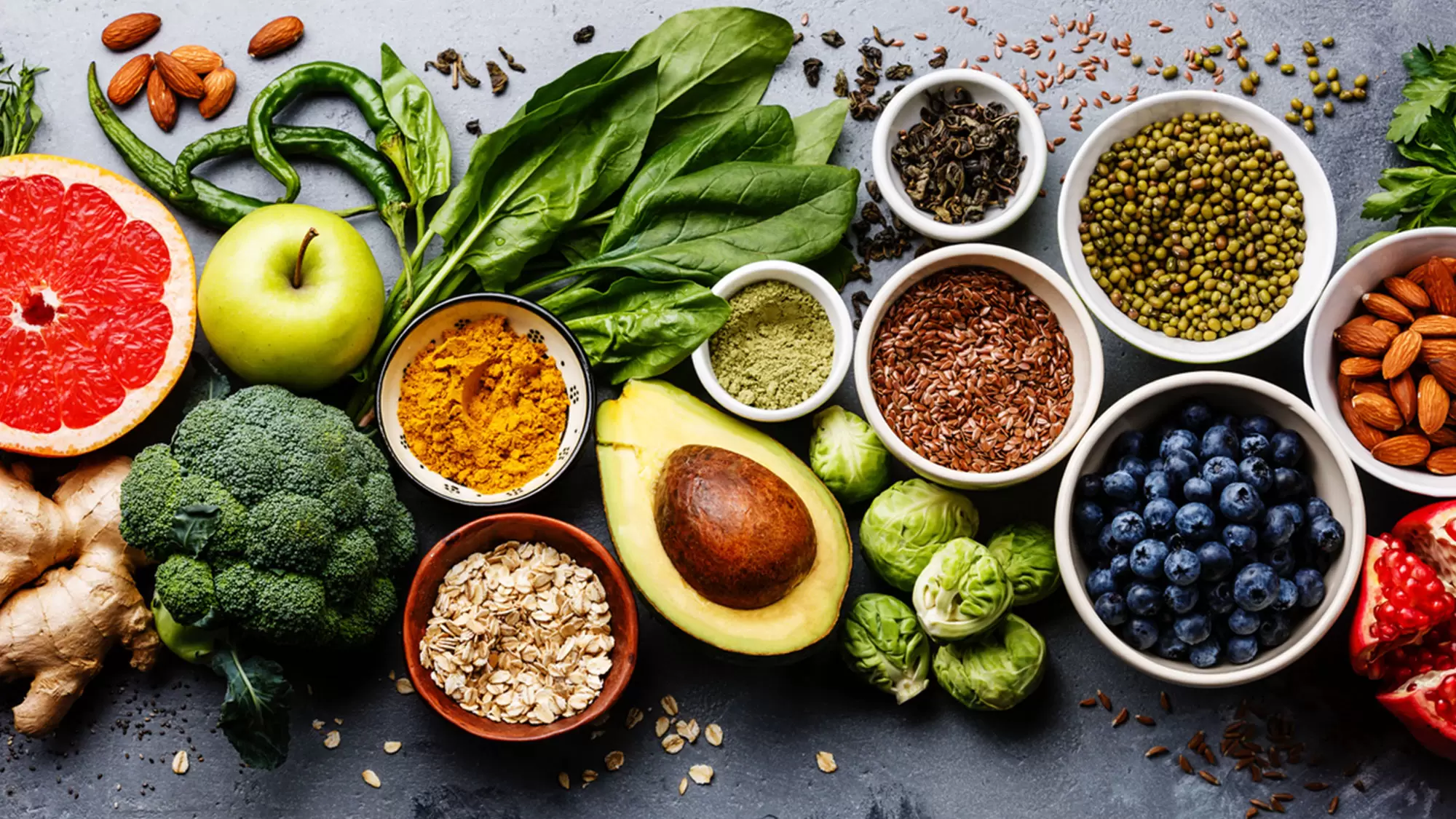 coach nutrition lyon 1