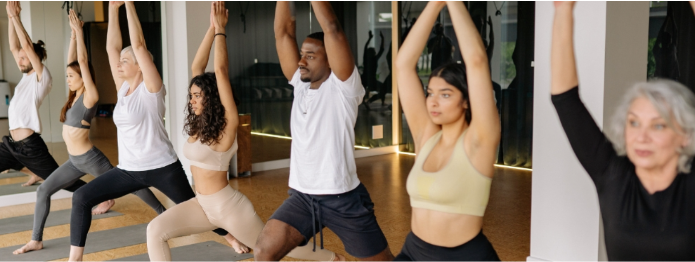 renforcement musculaire gym senior gym traditionnel